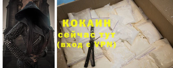 шишки Богданович