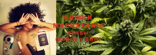 шишки Богданович