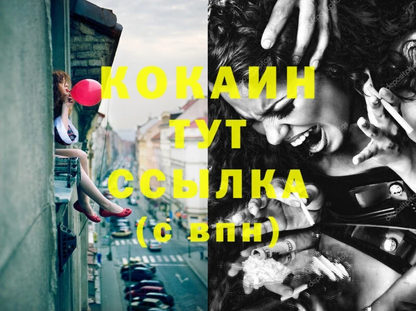 шишки Богданович