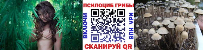 Псилоцибиновые грибы мицелий  Купить  Котлас 